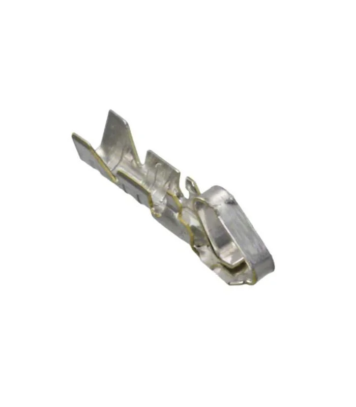errebishop5987201