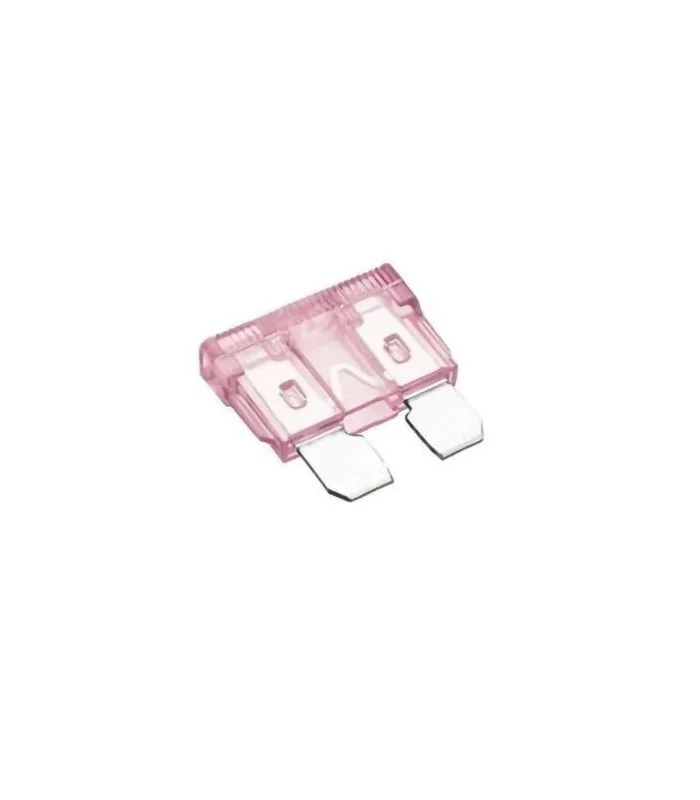 errebishop6002908