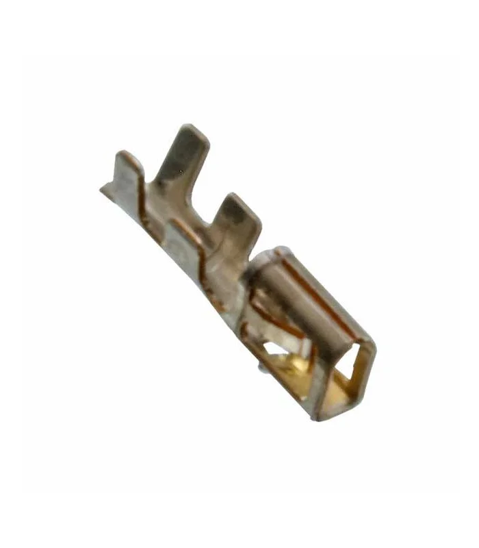 errebishop6003233