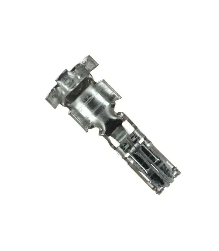 errebishop6009078
