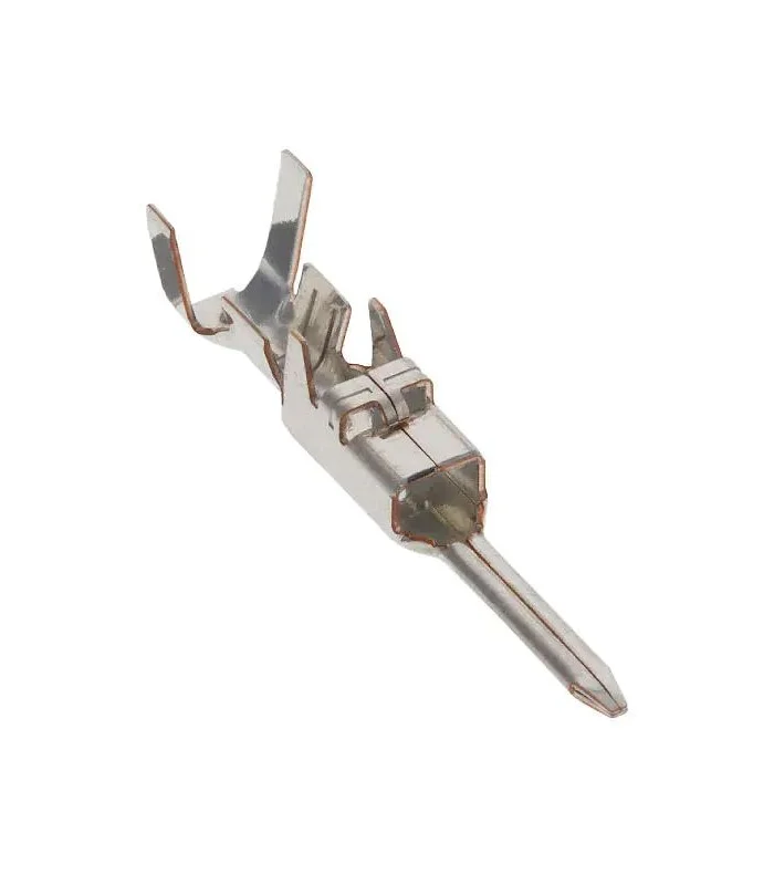 errebishop6009093