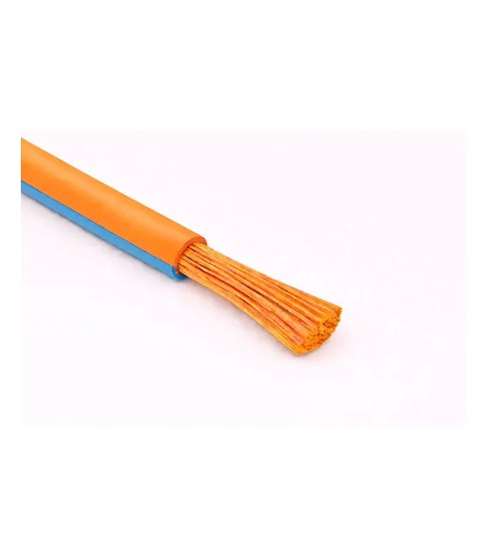 errebishop6010498