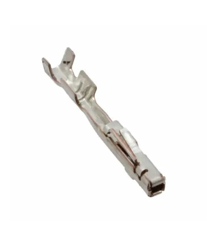 errebishop6022141