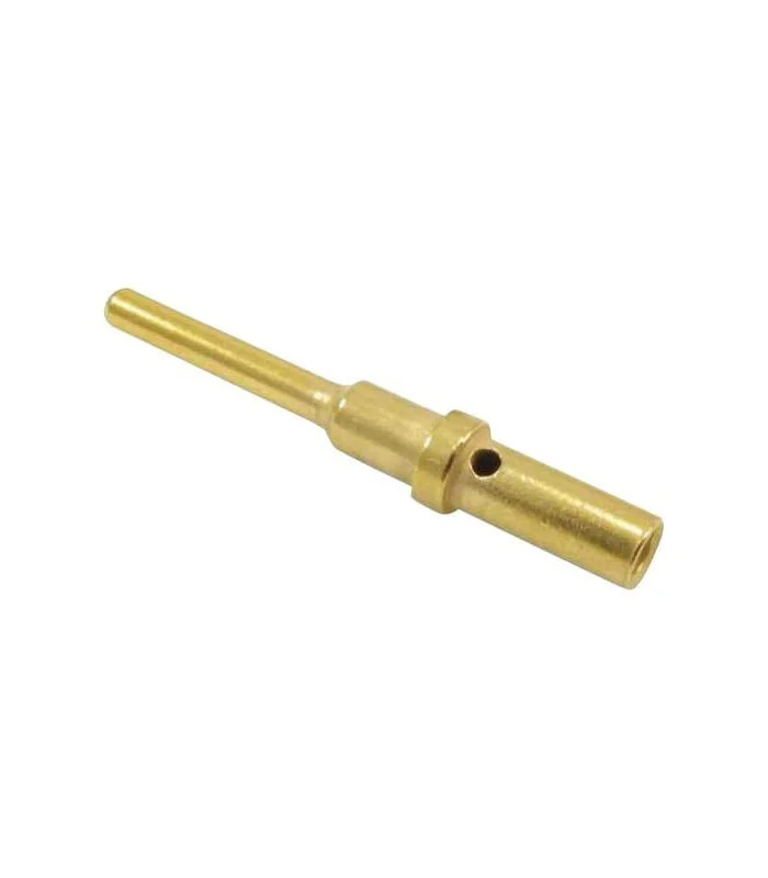 errebishop6034908