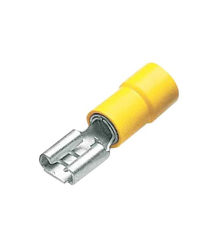 errebishop6043062