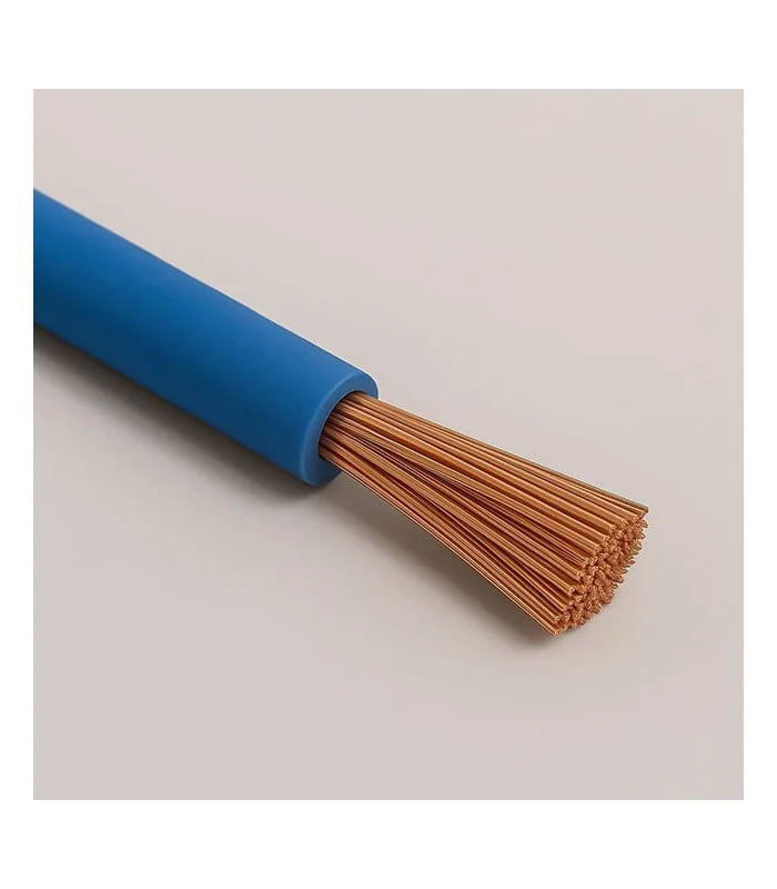 errebishop6061607