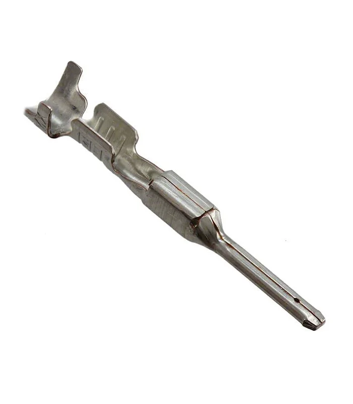 errebishop6065175