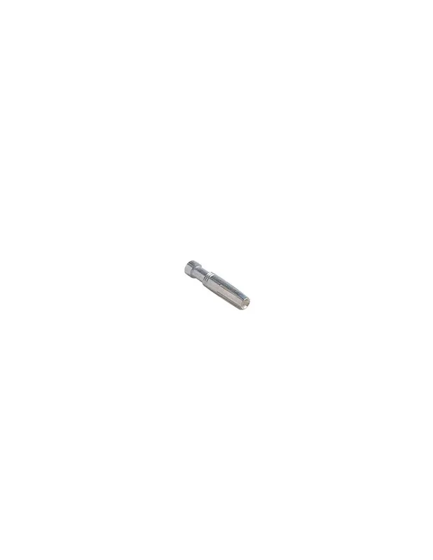 outletdellelettrico6112487